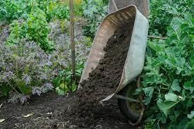 Mulching Plants